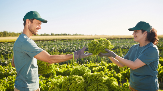 Local North Myrtle Beach Farm Produce