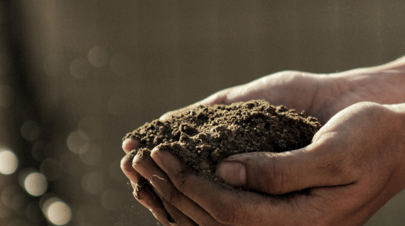 Waste Management in North Myrtle Beach